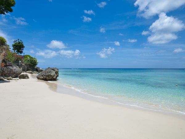Barbados Condo 973339