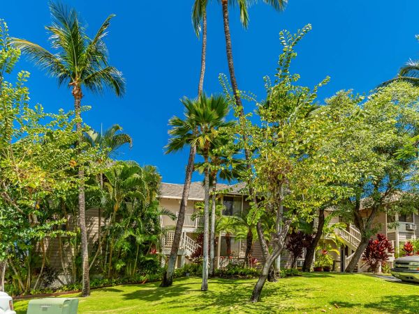 Maui Condo with Stunning Views - Book Your Hawaiian Getaway