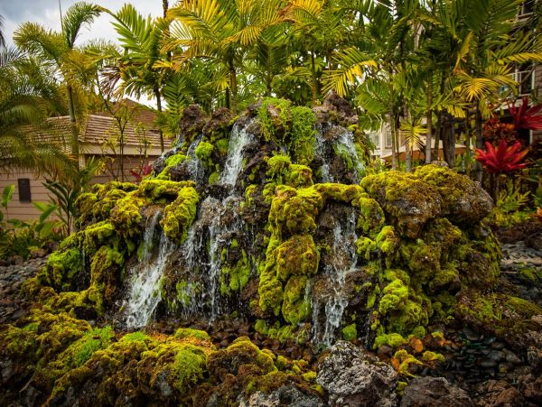 Maui Condo with Stunning Views - Book Your Hawaiian Getaway