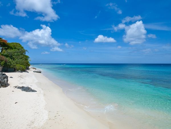 Barbados Condo 973354