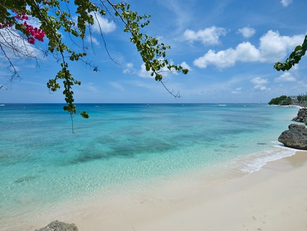 Barbados Condo 973354