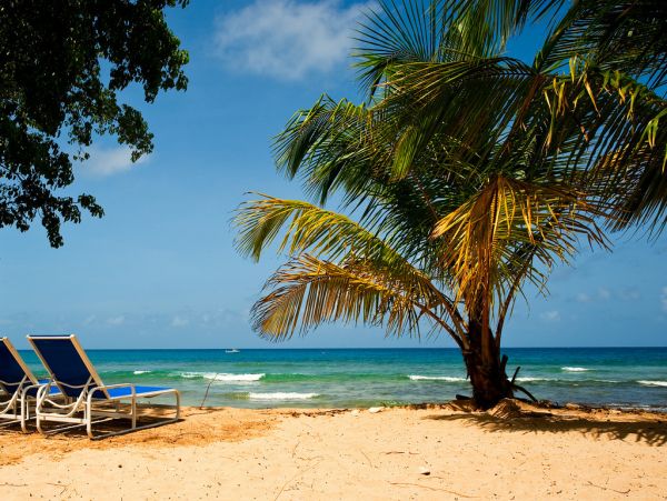 Barbados Condo 973356