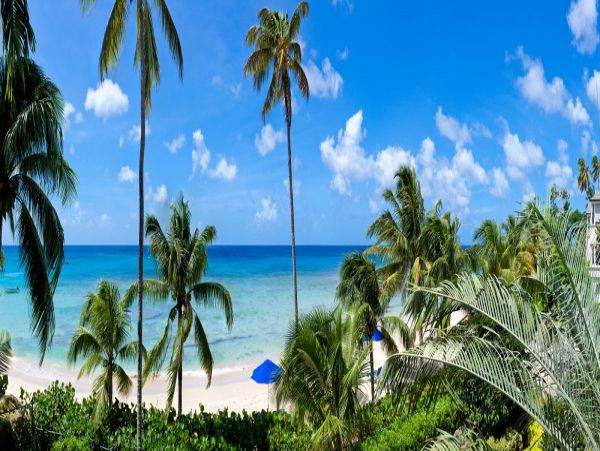 Barbados Condo 973359
