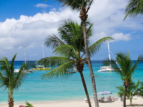 Barbados Condo 973363