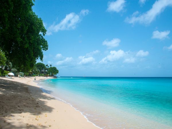 Barbados Home 973368