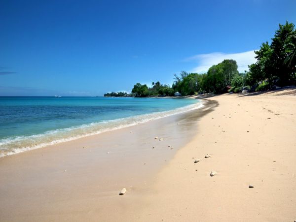 Barbados Home 973371