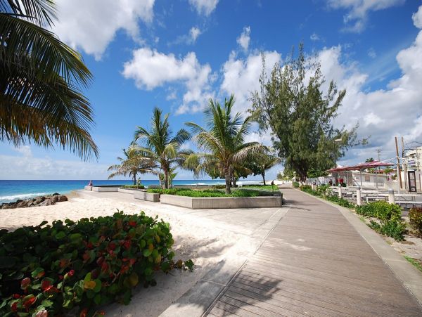 Barbados Condo 973374