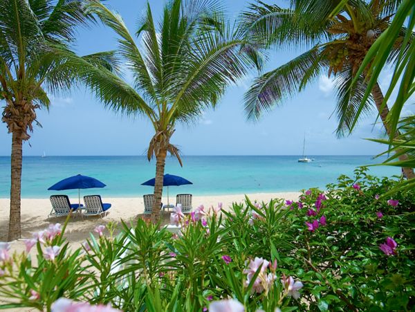 Barbados Condo 973380