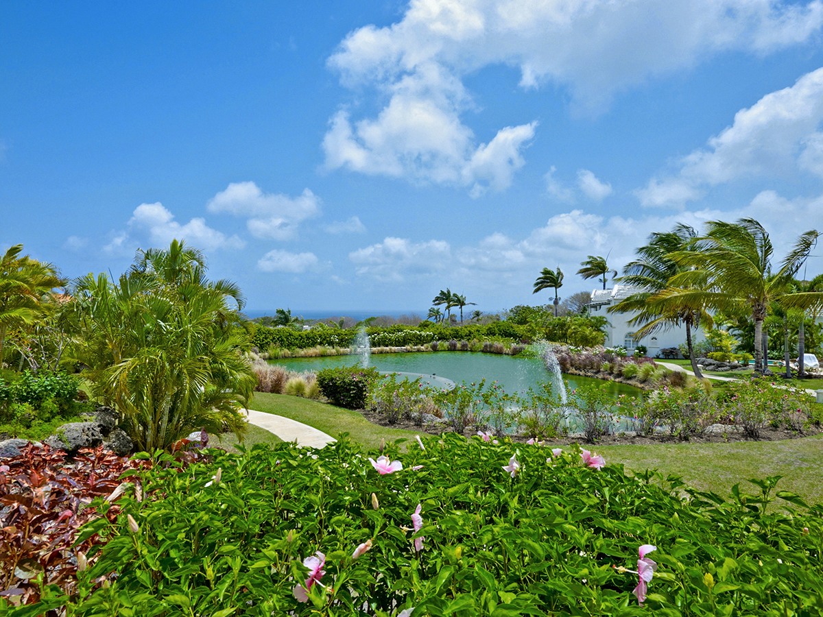 Barbados Home 973384