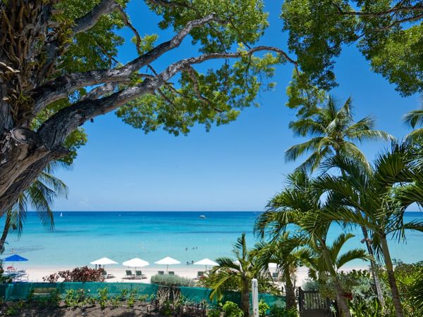 Barbados Home 973388