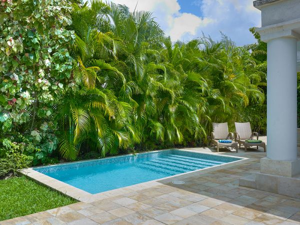 Barbados Home 973396