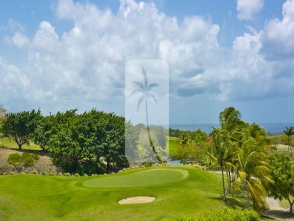Barbados Home 973401