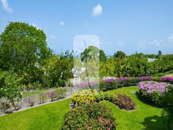 Barbados Home 973407