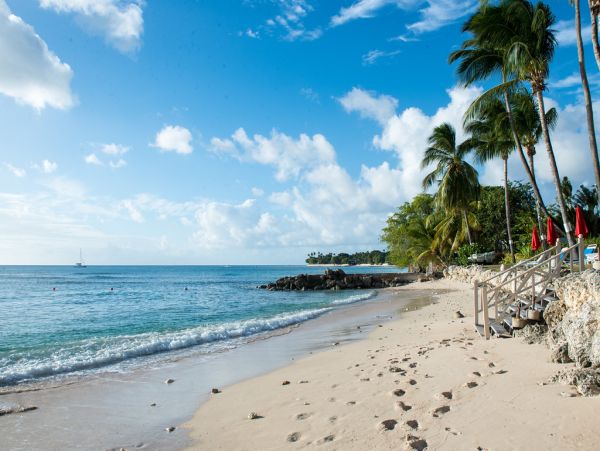 Barbados Condo 973414