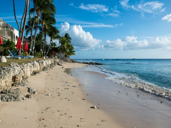 Barbados Condo 973414