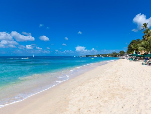 Barbados Condo 973418