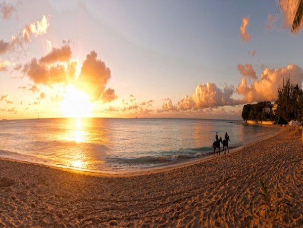 Barbados Home 973420