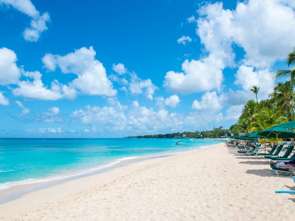 Barbados Condo 973425
