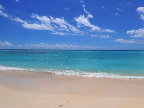 Barbados Condo 973427