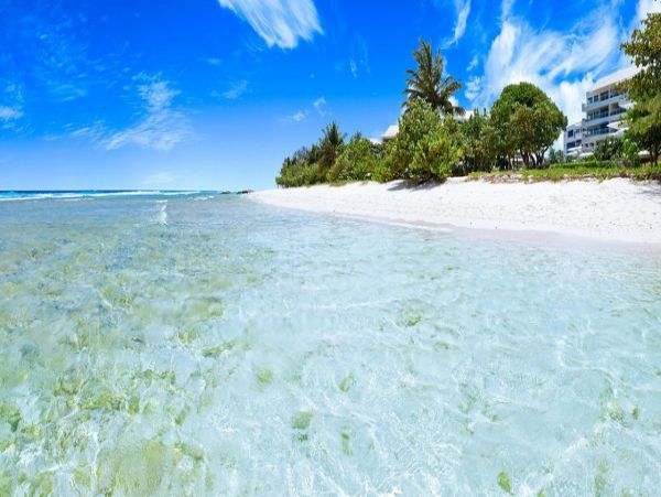 Barbados Condo 973430