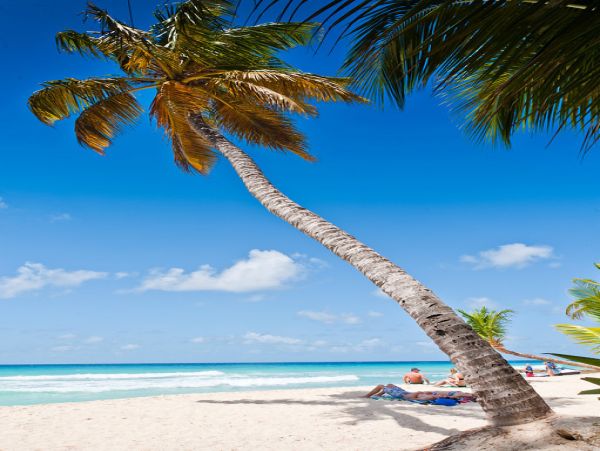 Barbados Condo 973441