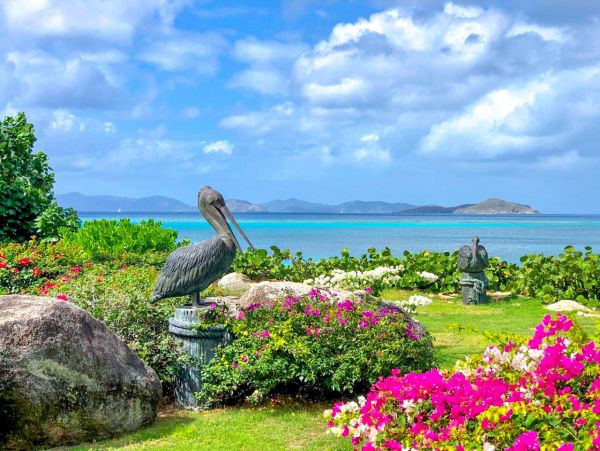 British Virgin Islands Home 973471