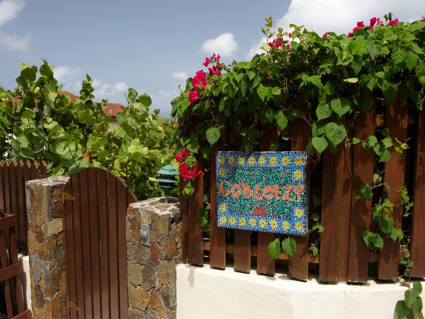 British Virgin Islands Home 973472