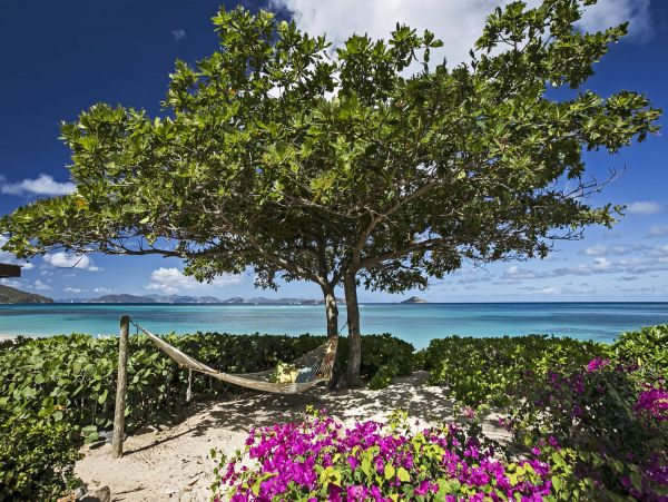British Virgin Islands Home 973478