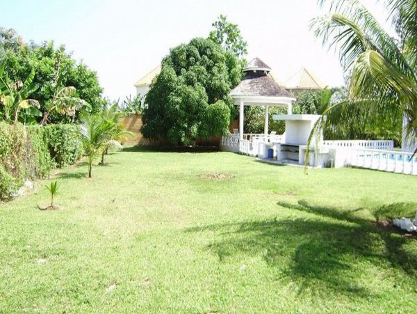 Jamaica Home 973498