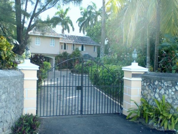 Jamaica Home 973505
