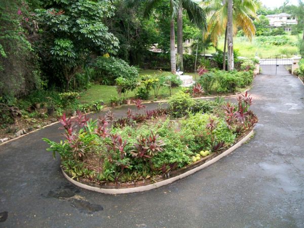 Jamaica Home 973505