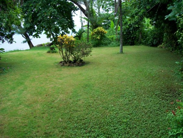 Jamaica Home 973505