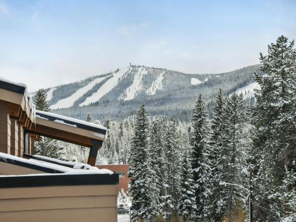 Winter Park Condo 973510