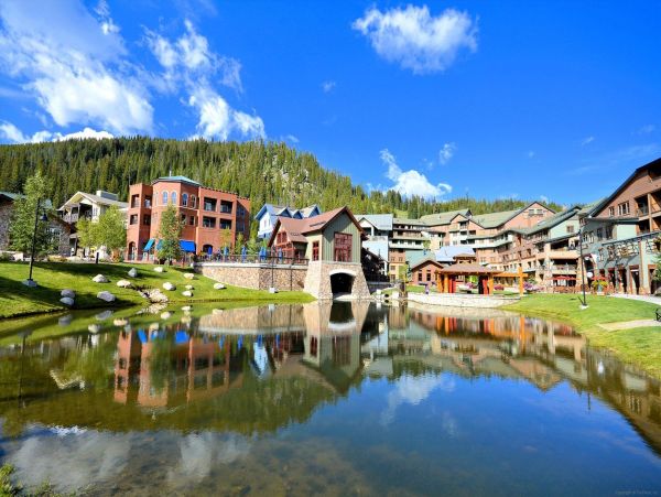 Winter Park Condo 973524