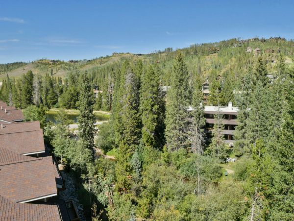 Winter Park Condo 973545
