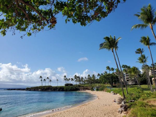 Oceanview Kapalua Vacation Condo Sleeps 4 Guests