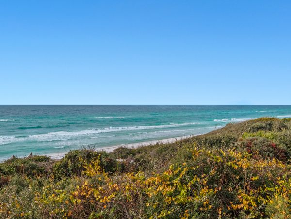 Beaches Of South Walton Condo 973637