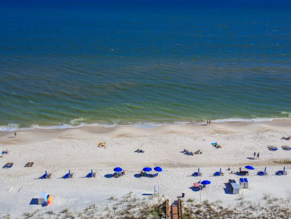 Perdido Key Condo 973644