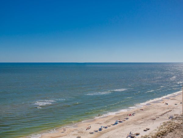 Perdido Key Condo 973644