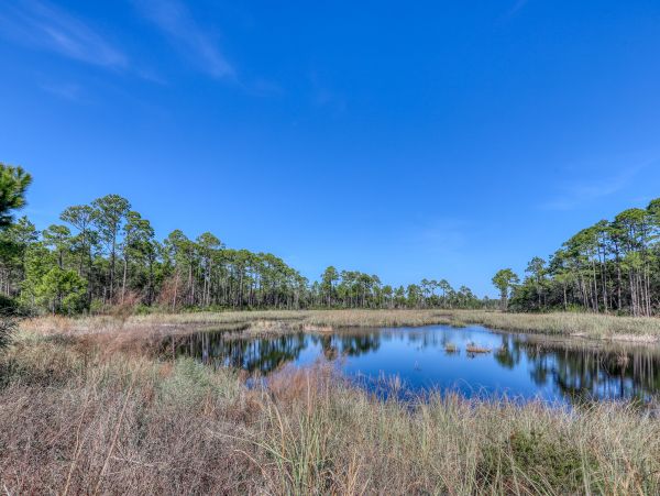 Beaches Of South Walton Condo 973715