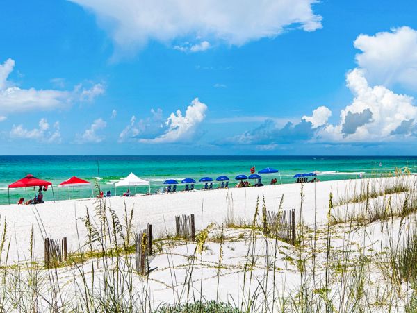 Beaches Of South Walton Condo 973730