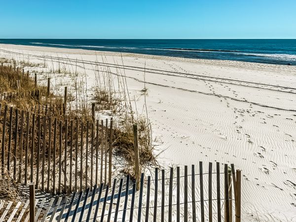 Panama City Beach Condo 973817