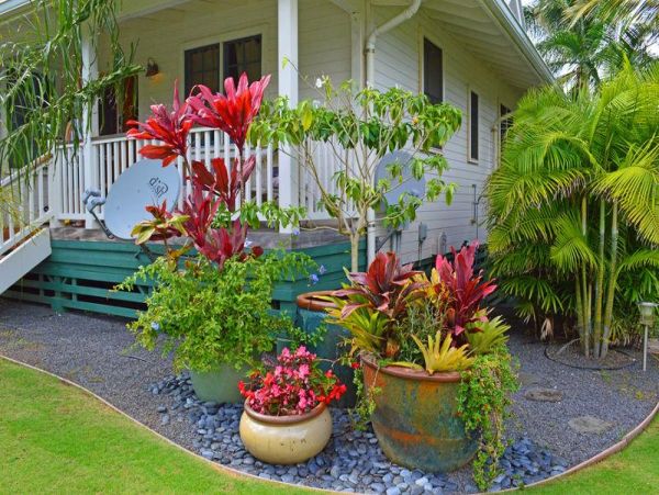 Haiku Home 973874