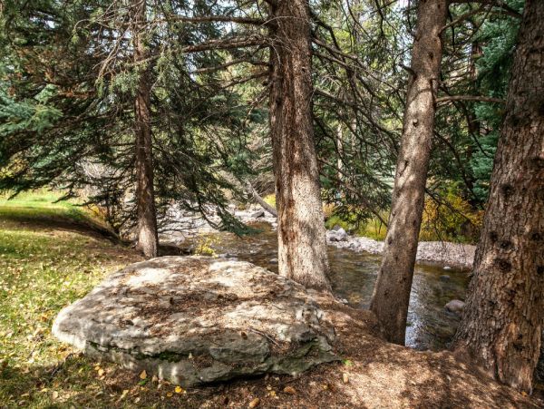Four Bedroom Vail Vacation Condo Sleeps 8 Guests
