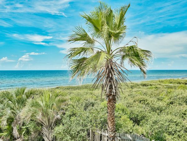 Beaches Of South Walton Home 973977