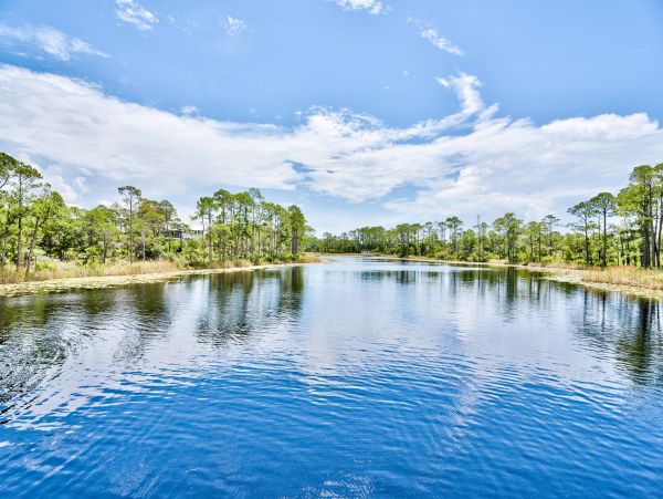 Beaches Of South Walton Home 973979
