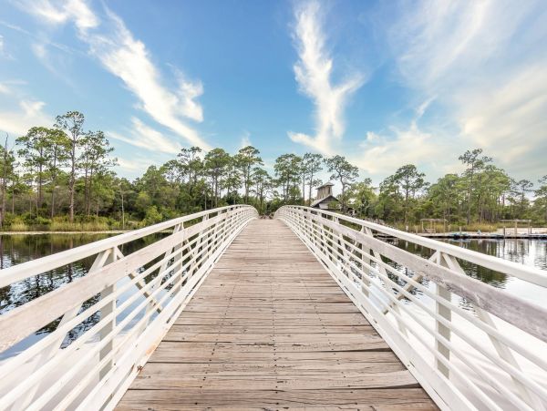 Beaches Of South Walton Home 973982