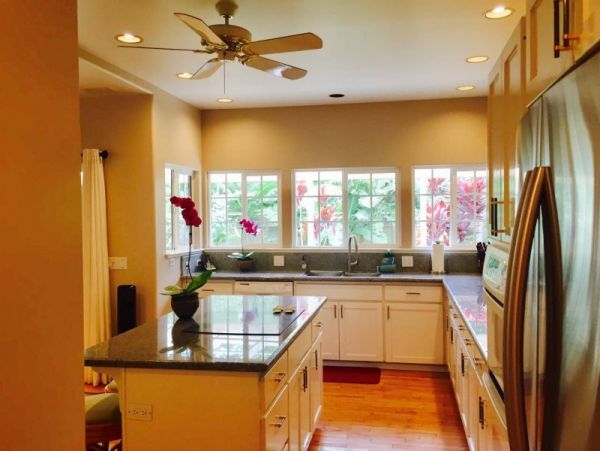 Kohala Coast Home 974073