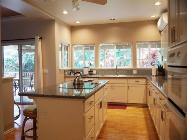 Kohala Coast Home 974073