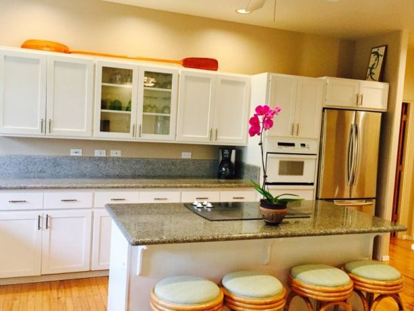 Kohala Coast Home 974073